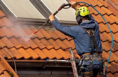 Démoussage et hydrofuge de toiture à Meximieux